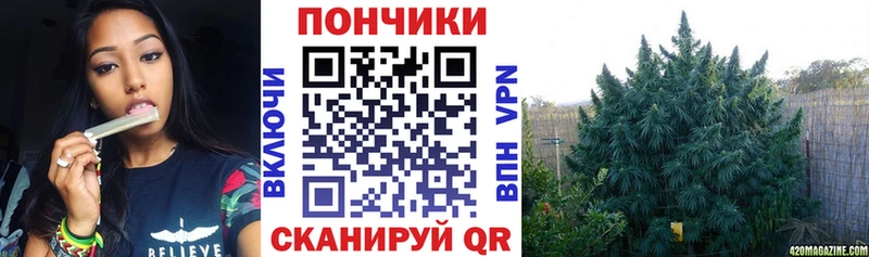 MEGA ТОР  Лянтор  Каннабис ГИДРОПОН 